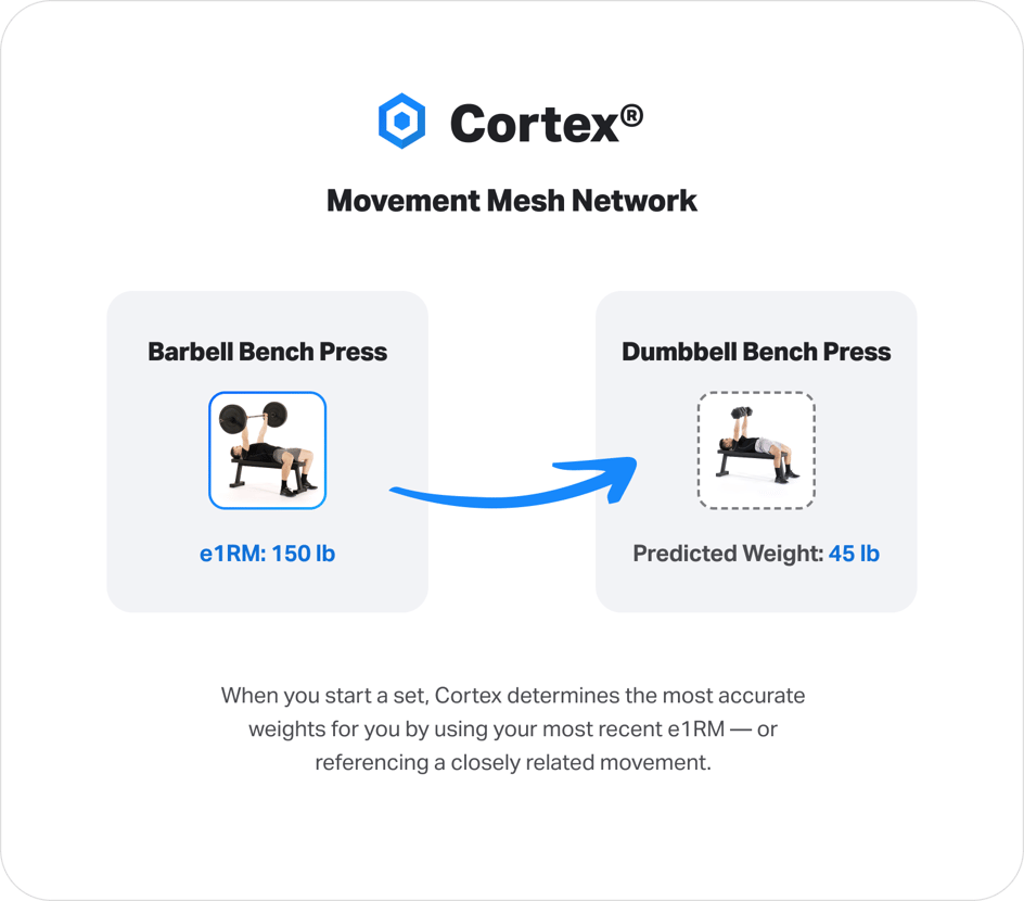 Understanding the Movement Mesh Network, Predicted Sets, and ...