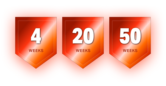 StreakMilestone
